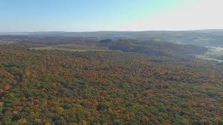 Fall Foliage - Grantsville in Garrett County