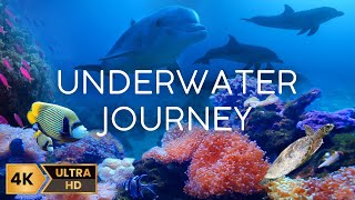 Underwater Journey – Ocean and Coral Reef Fish Relaxing 4K: ASMR Ambient Instrumental Music 12 Hours