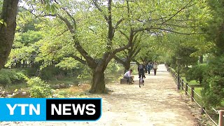 속리산 가을 정취 물씬...등산객 북적 / YTN (Yes! Top News)