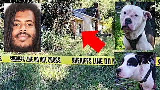 Homeowner Calls Police After Discovering Gruesome Surprise On Porch