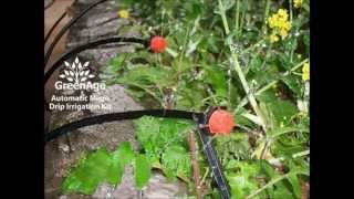 Automatic Micro Drip Irrigation by GreenAge