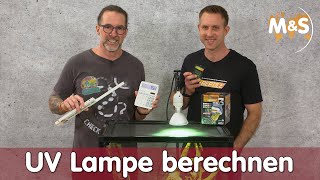 Wieviel Watt und UV brauche ich? | Terrarium Beleuchtung richtig berechnen | Teil 2