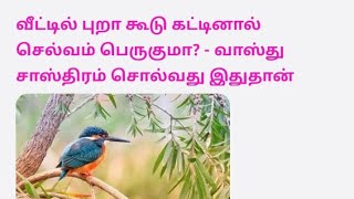 வீட்டில் புறா கூடு கட்டினால் செல்வம் பெருகுமா? - வாஸ்து சாஸ்திரம் சொல்வது இதுதான்