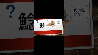 【クイズ】第２回魚の漢字クイズ！あなたは何問答えられますか？#shorts #shortvideo #short #雑学 #魚 #クイズ #おもしろ #サイエンス