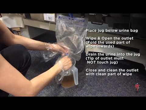 Care Of Urinary Catheter - Emptying Of Urine Bag For Bed-bound Person ...