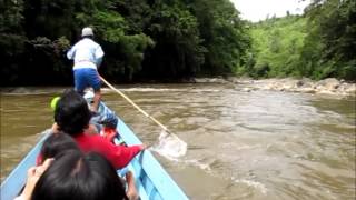 Gawai Nyarok: Goodbye Suruh Engkadok, Sekayam River Kalimantan Barat Indonesia Travel 穿越婆罗洲印尼西加里曼丹部落