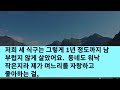 【실화사연】 아들이 사돈댁을 도와주러 섬에 들어가 뱃일을 해야 한다는데 6개월이 되도록 연락 하나없자 며느리의 방을 보다가 웬 서류를 발견하고 깜짝 놀라 경찰을 부르고 말았습니