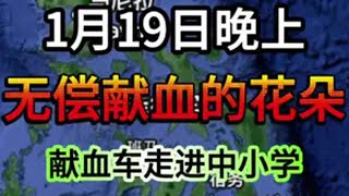 1月19日晚上 无偿献血的花朵，献血车走进中小学国际局势 内容启发搜索 无偿献血