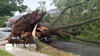 Maryland storms knock down trees, leave damage