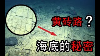 揭秘太平洋的秘密！海底惊现黄砖路？华夏之根！