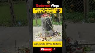 ఆ శివలింగాన్ని చూడటానికి అదృష్టం ఉండాలి... #godavarivlogs #youtubeshorts #draksharama