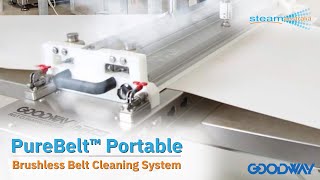 PureBelt™ Portable Brushless Belt Cleaning System