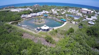 Florida Oceanographic Coastal Center in Stuart, FL - South Florida Attractions