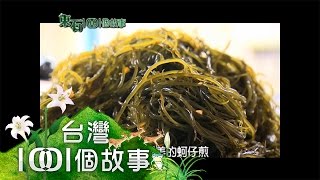 鳥比人多四股區 全東石鄉最迷你 part2【東石1001個故事】2014年