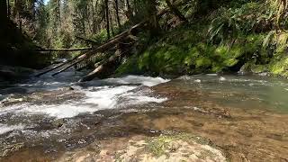 Confluence at Porter Creek Falls - Capitol State Forest, WA - 4K