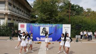 08 WHITE TIGERS 京都学生祭典2016 藤ステージ