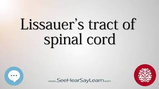 Lissauer's tract of spinal cord   Anatomy of the Brain   SeeHearSayLearn 🔊