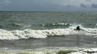 瀬戸内海サーフィン　in　河口   〜台風10号〜