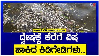 Tumakuru : ರಾಜಕೀಯ ದ್ವೇಷಕ್ಕೆ ಲಕ್ಷಾಂತರ ಮೀನುಗಳ ಮಾರಣಹೋಮ! | TV5 Kannada