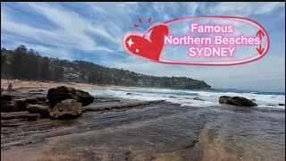 Famous Northern Beaches SYDNEY- Relaxing Music - Piano - Những bãi biển ĐẸP người  bản địa thích