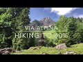 Via Alpina #45 - Hiking to 40%