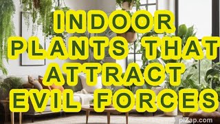 6 INDOOR PLANTS THAT ATTRACT EVIL FORCES