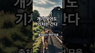 개가 짖어도 기차는 간다ㅣ 출처 있는 명언모음 ㅣ  #인생철학 #철학 #지혜 #명언