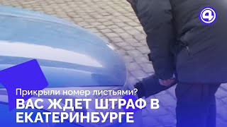 Штрафы за грязные номера: новые правила в Екатеринбурге