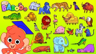 Animal ABC | Learn the alphabet for kids with Cartoon Animals | ABCD |  Club Baboo