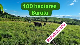 100 hectares pronta no jeito com ótima estrutura