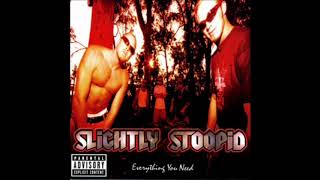 Slightly Stoopid - Collie Man