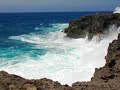 ことぶき。archives　日本最南端の有人島　波照間島 「高那崎」　沖縄県八重山郡竹富町　2006年7月6日 木