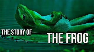 The story of the frog | Do or Die |Motivational story