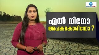 El Nino Explained  | ഏഴ് വർഷങ്ങൾക്ക് ശേഷം പസഫിക് സമുദ്രത്തിൽ രൂപപ്പെട്ട എൽ നിനോ ഇത്ര അപകടകാരിയോ ?