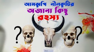 রহস্যময় আমঝুপি নীলকুঠি | Amjhupi Nilkuthi Meherpur