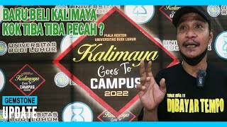 GEMSTONES UPDATE 18032022 - CEK HARGA BATU KALIMAYA DI EVENT KALIMAYA GOES TO CAMPUS