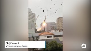 Tifón Jebi: catástrofe en Japón