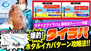 【タイラバ】爆釣！敦賀タイラバ！これを理解すれば釣果UP間違いなし