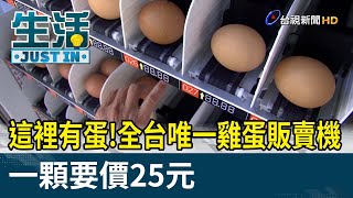 這裡有蛋！全台唯一雞蛋販賣機 一顆要價25【生活資訊】