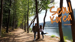 ［TRAVEL VLOG] Seoul, Korea Nami Island!! 韓國首爾南怡島篇 2019 Part 2🐻🍯 | Scarletyimmm