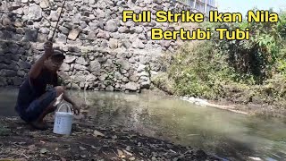 Mancing Di Bawah Pondasi Full Strike Ikan Nila