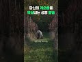 당신의 게으름을 없애는 법｜잠언에서 “게으름”에 관한 구절만 정리｜ 5