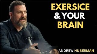 How Exercise Affects the Brain and Learning | Dr. Andrew Huberman