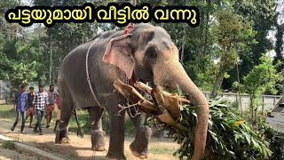 കഞ്ഞി കുടിച്ച് പോയി തിരുവമ്പാടി ചന്ദ്രശേഖരൻ ELEPHANT HAD FOOD AT MY HOME