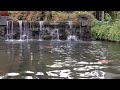 waterfall at the hilton bonaventure