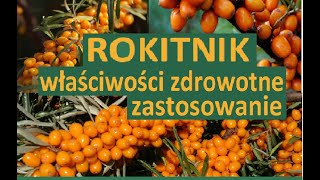 Rokitnik właściwości