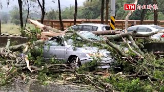 車頂被壓扁！埔里狂風暴雨吹斷路樹 中潭公路車毀人傷