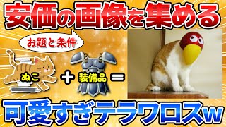 【2ch面白スレ】安価で指示された画像を貼れ→可愛いネコ画像集まってワロタｗ【猫画像】