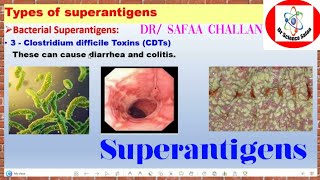 Superantigens immunology, types of superantigens #superantigen #antigen