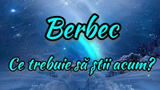 BERBEC - Ce trebuie să știi acum?